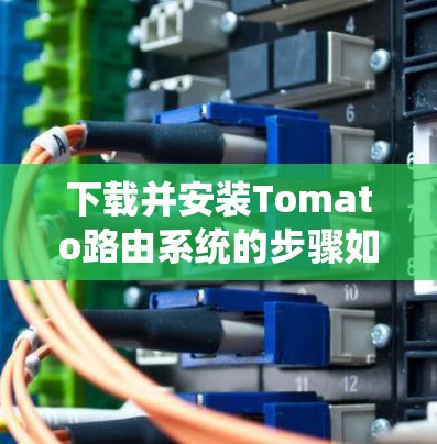 下载并安装Tomato路由系统的步骤如下 下载并安装Tomato路由系统的步骤如下