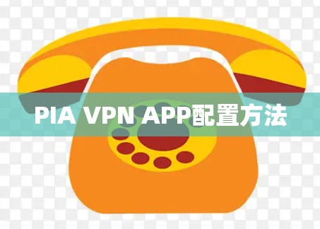 PIA VPN APP配置方法 PIA VPN APP配置方法