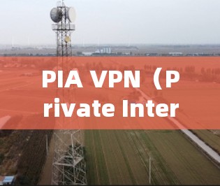 PIA VPN(Private Internet Access)是一款流行的VPN服务提供商,用户可能需要测试其VPN线路的连接质量或安全性。以下是一些可以帮助测试PIA VPN线路的工具和方法 PIA VPN(Private Internet Access)是一款流行的VPN服务提供商,用户可能需要测试其VPN线路的连接质量或安全性。以下是一些可以帮助测试PIA VPN线路的工具和方法