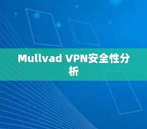 Mullvad VPN安全性分析 Mullvad VPN安全性分析