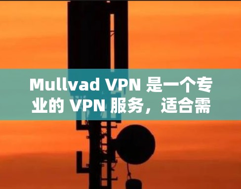Mullvad VPN 是一个专业的 VPN 服务,适合需要高级功能的用户。以下是对其的详细评估 Mullvad VPN 是一个专业的 VPN 服务,适合需要高级功能的用户。以下是对其的详细评估