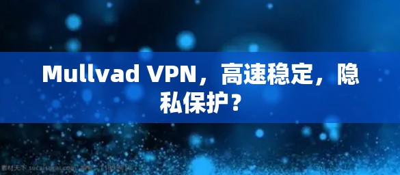 Mullvad VPN,高速稳定,隐私保护? Mullvad VPN,高速稳定,隐私保护?