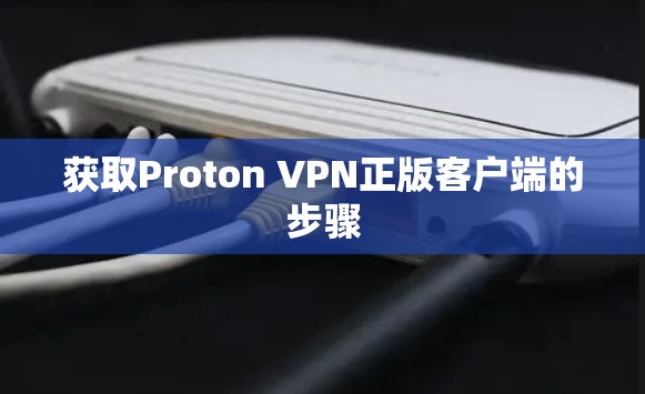 获取Proton VPN正版客户端的步骤 获取Proton VPN正版客户端的步骤