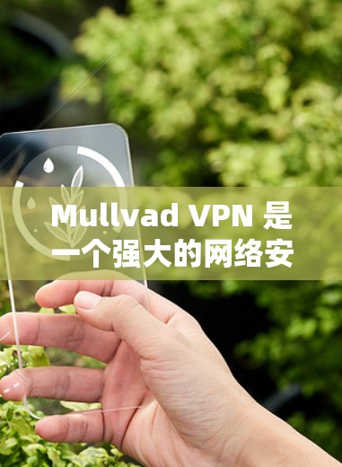 Mullvad VPN 是一个强大的网络安全工具,适合对隐私和网络安全有较高要求的用户。以下是对 Mullvad VPN 的详细分析和总结 Mullvad VPN 是一个强大的网络安全工具,适合对隐私和网络安全有较高要求的用户。以下是对 Mullvad VPN 的详细分析和总结