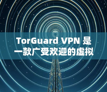 TorGuard VPN 是一款广受欢迎的虚拟专用网络(VPN)软件,旨在为用户提供安全、隐私保护和稳定连接。以下是对该软件的详细分析和总结 TorGuard VPN 是一款广受欢迎的虚拟专用网络(VPN)软件,旨在为用户提供安全、隐私保护和稳定连接。以下是对该软件的详细分析和总结