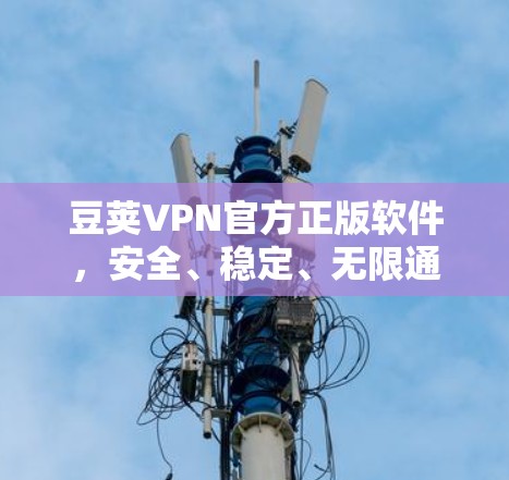 豆荚VPN官方正版软件,安全、稳定、无限通畅 豆荚VPN官方正版软件,安全、稳定、无限通畅