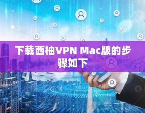 下载西柚VPN Mac版的步骤如下