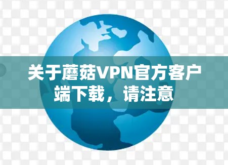 关于蘑菇VPN官方客户端下载，请注意