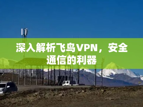 深入解析飞鸟VPN,安全通信的利器 深入解析飞鸟VPN,安全通信的利器