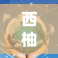 西柚VPN安卓版下载指南 西柚VPN安卓版下载指南