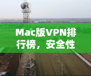 Mac版VPN排行榜,安全性与性能的权衡 Mac版VPN排行榜,安全性与性能的权衡