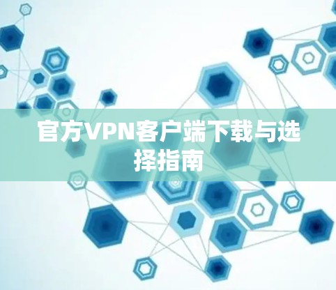 官方VPN客户端下载与选择指南 官方VPN客户端下载与选择指南