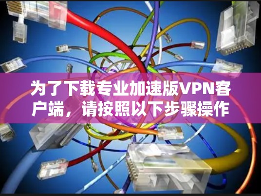 为了下载专业加速版VPN客户端，请按照以下步骤操作